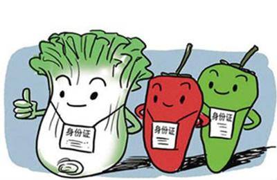 农业农村部:食用农产品合格证制度全国推广，6大试点省份经验全解析
