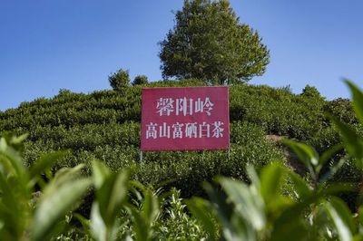 富硒农产品 健康饮食的新选择
